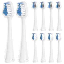 Têtes de Brosse à Dents Électriques Compatibles avec Waterpik, Accessoire de Remplacement, Hygiène Buccale, Propre, Buses à Poils Souples, 5 à 10 Pièces