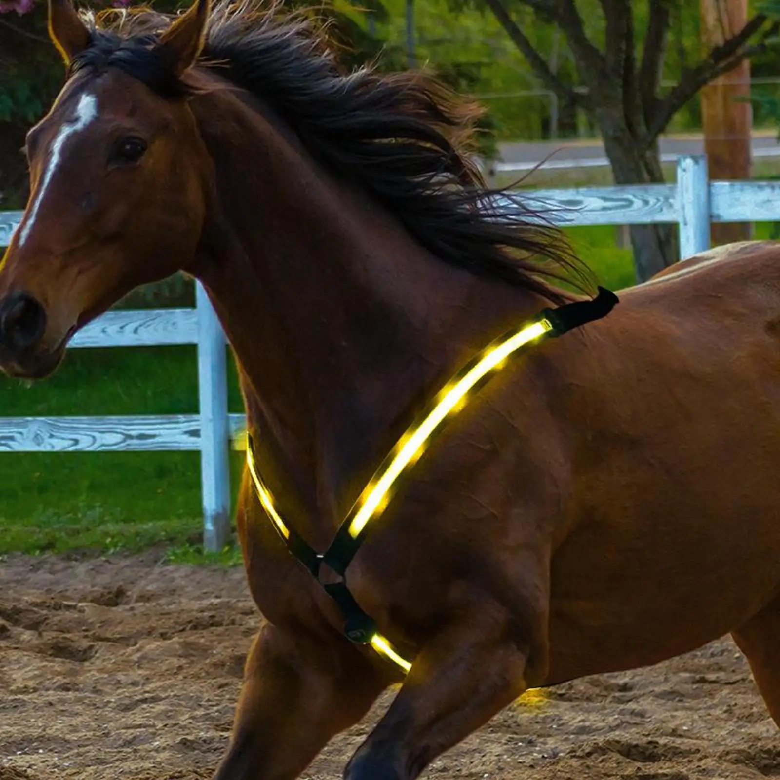 Reflective Horse Harness Breastplate Breast Collar LED Equestrian Safety Gear