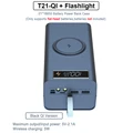 T21 QI Black
