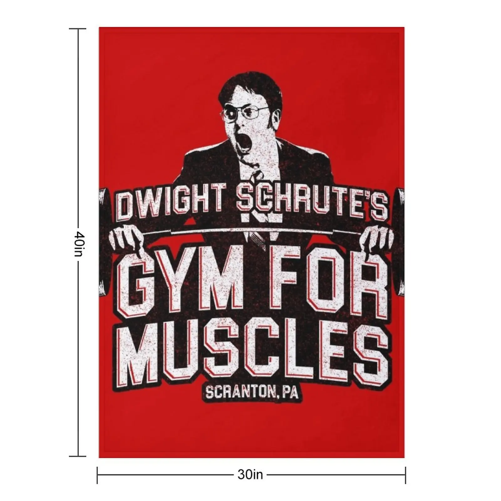 Dwight Schrute's Gym For Muscles Throw Blanket Picnic for sofa For Sofa Thin Summer cosplay anime Luxury Throw Blankets