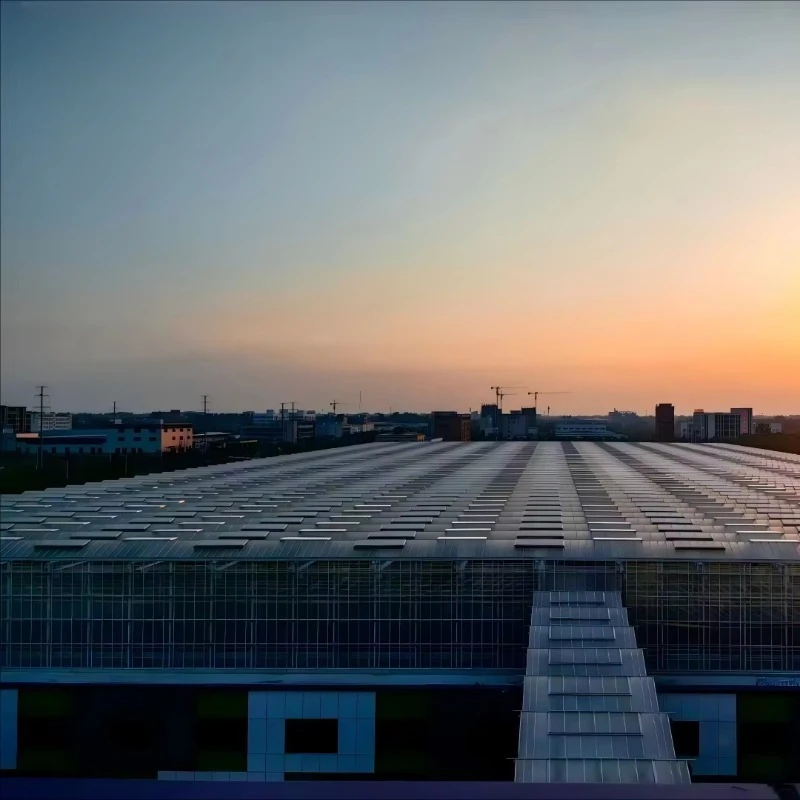 إطار فولاذي كبير للتدفيئة التجارية من Venlo، هيكل زجاجي زراعي عالي المتانة، زهور الفاكهة والخضروات #4