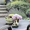 Duck Statue With Solar LED Lights Cute Animal Garden Ornament With Solar Power Vivid And Cute