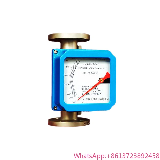 

Micro Flow Liquid Metal Rotameter Flowmeter Air Rotor Flowmeter H2 N2 Analog Output OEM Customizable