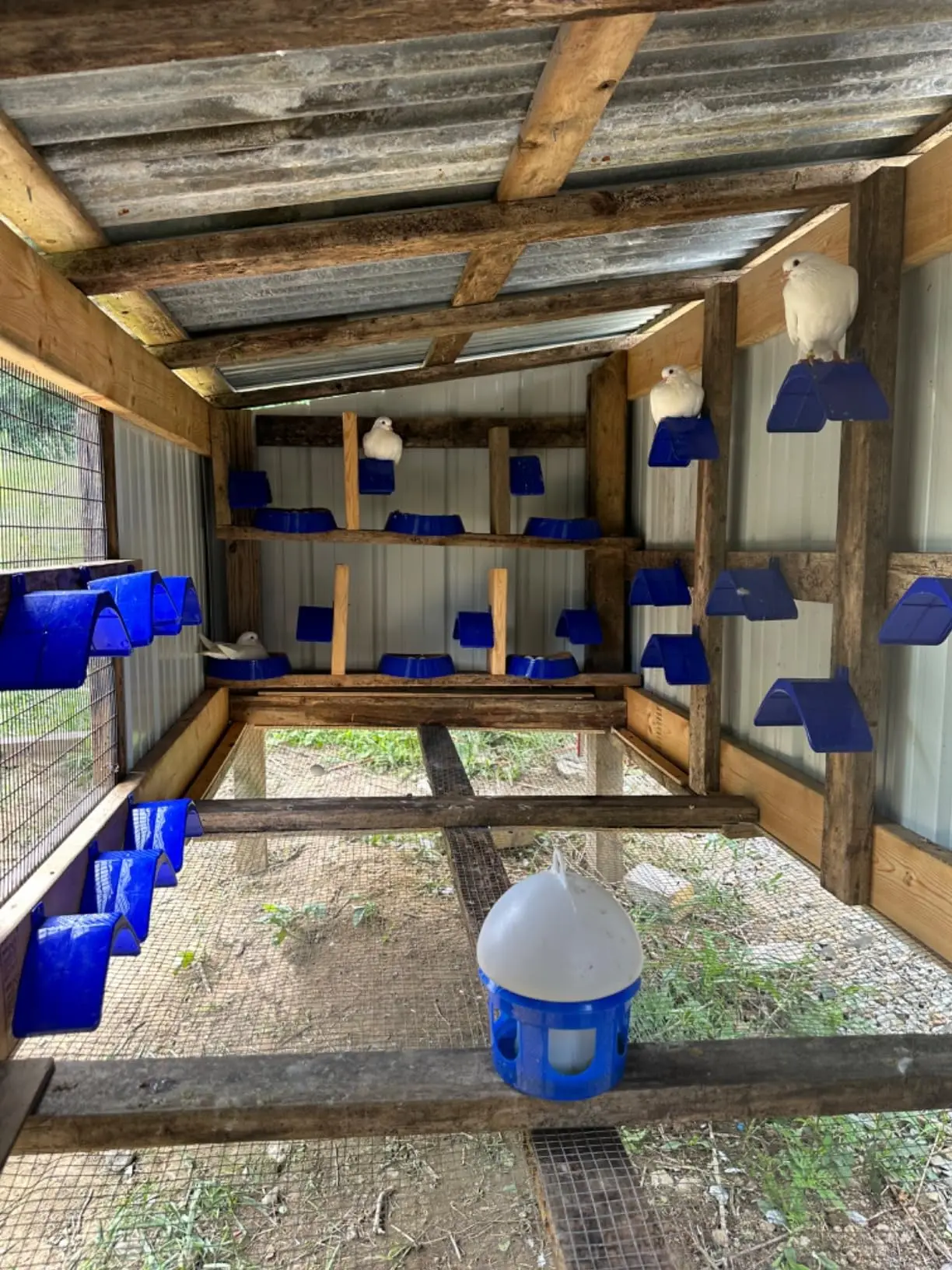 20 Pcs Dove Rest Stand, Lightweight Pigeon Perches Plastic Birds Roost Holder, Pigesons Dwelling Frame Birdcage Accessories