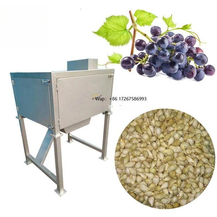 Industrial Grape Seed Separator Machine 2.5t/h Separation Machine for Grape Seed Fruit Seed Separator for Orange, Grape