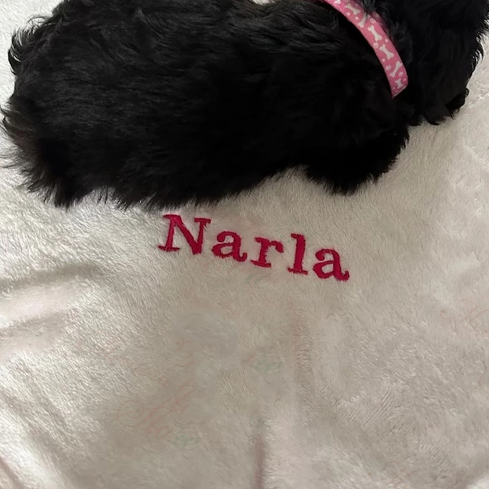 New Personalized Solid Color Soft Pet Blanket Flannel Blanket Custom Embroidered Dog Blanket Pet Name Gift Blanket Dog Mom Gifts