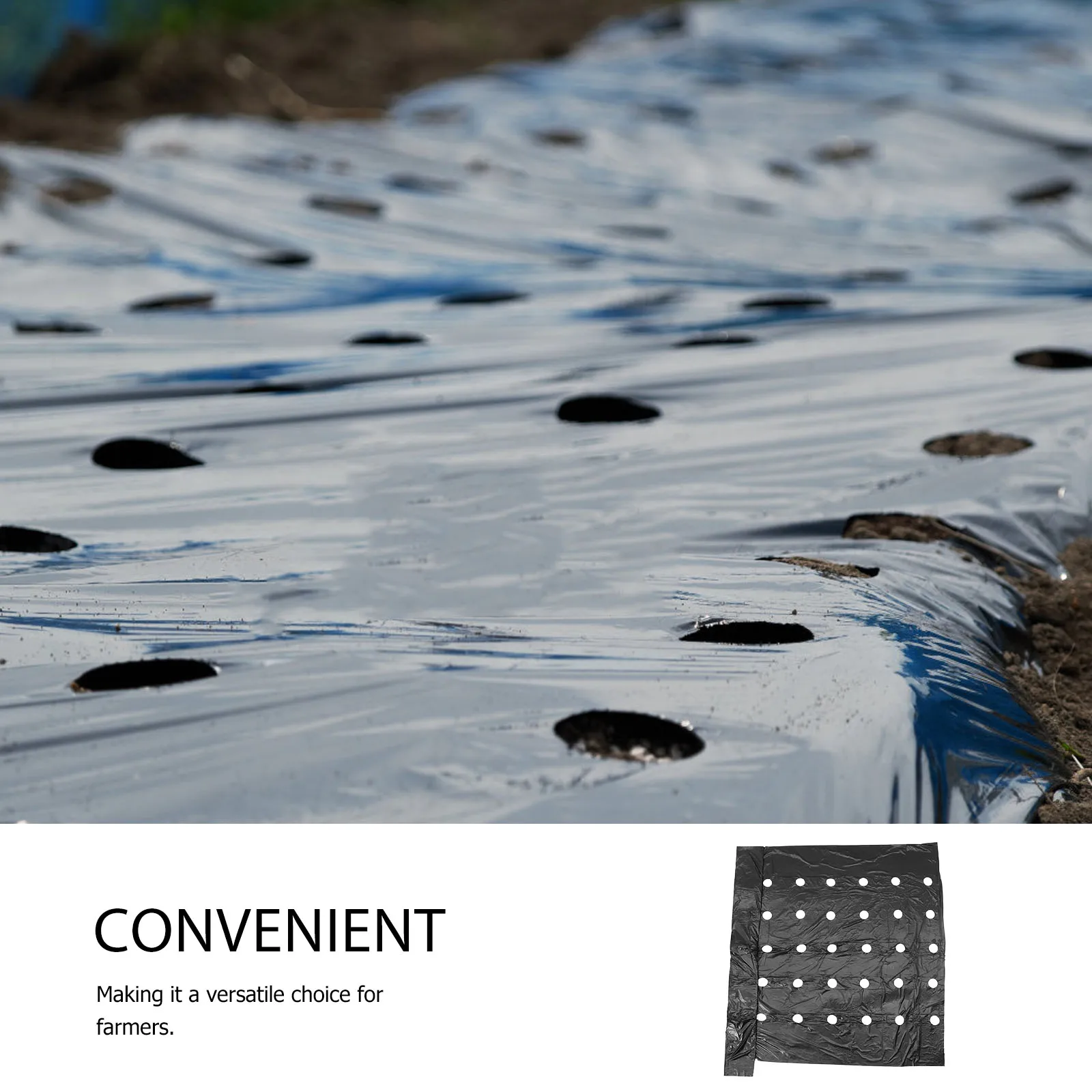 

Perforated Thermal Insulation Film Black Mulching Crop Farming Accessories PE Material Durable Reliable Increase Crop Yield