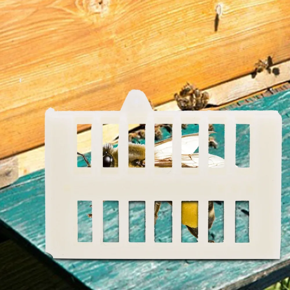 100pcs Easy To Install Plastic Plastic Bee Cage Parallel Slots Rectangular King Bee House Durable Solid Bee House Beekeeper