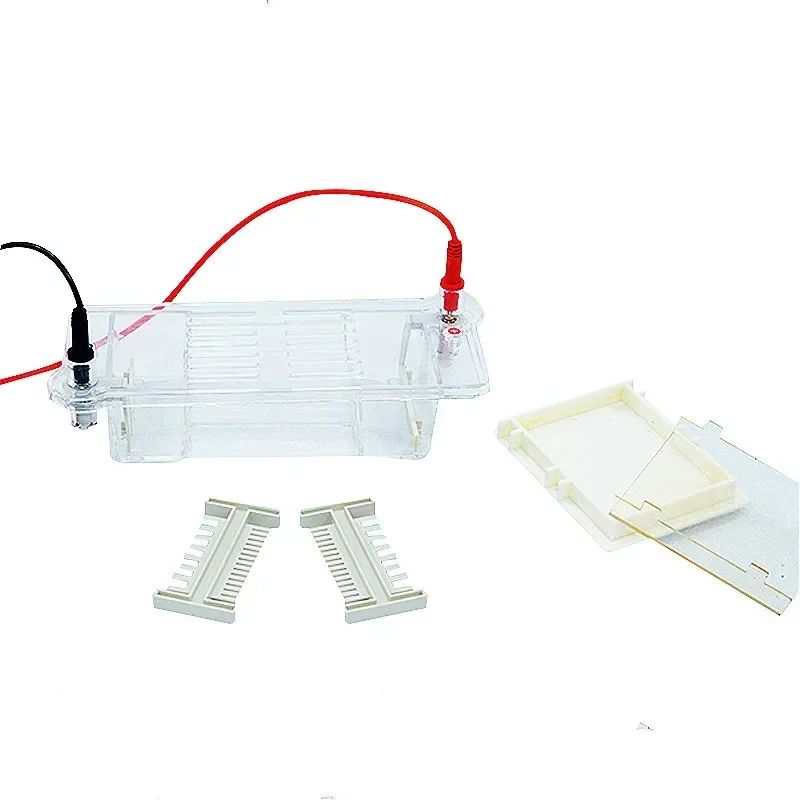 Nucliec Acid Horizonetal Electrophoresis Cell Agarose Electrophoresis Tank DYCP-31DN For DNA Identification Separation Preparate