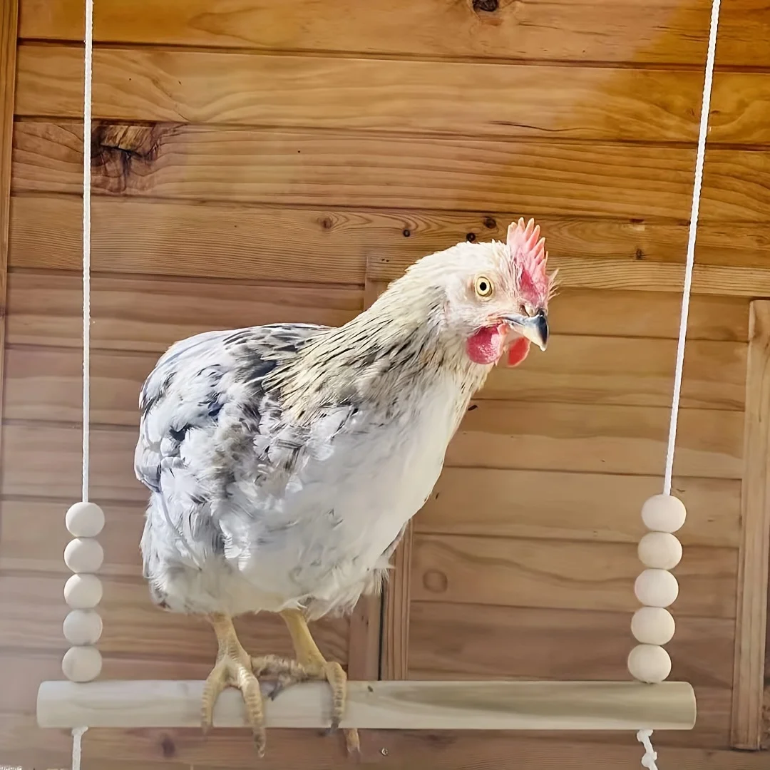 Jouet balançoire en bois naturel pour oiseaux avec perles, perchoir suspendu durable pour oiseaux de compagnie, jouet balançoire pour l'entraînement des perroquets