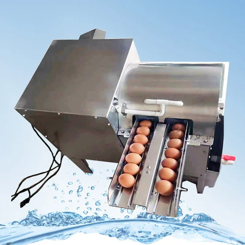Máquina comercial de lavar ovos de pato, aço inoxidável, 4000 peças/hora, máquina de limpeza de ovos de galinha, 500w