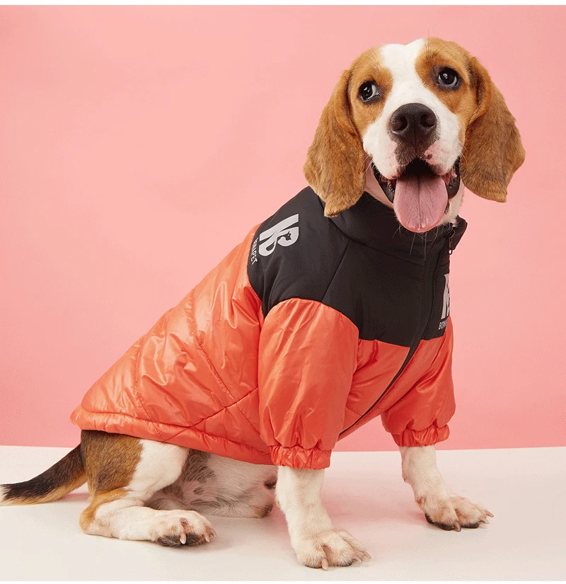 Warme Hundekleidung für den Winter, kältebeständig, Hundejacke für kleine und mittelgroße Hunde, verdickte, winddichte Welpenkleidung, Chihuahua – Detail 10
