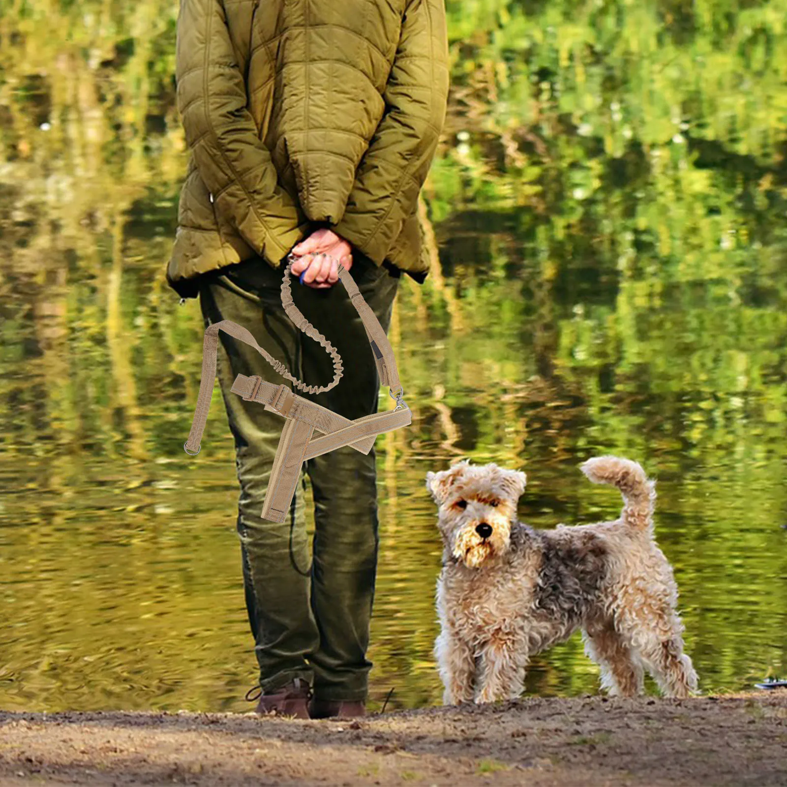 

1 Set Outdoor Dog Harness Portable Puppy Vest Adjustable Leash Walking Training Heavy Duty Pet Accessory For Large Small Dogs