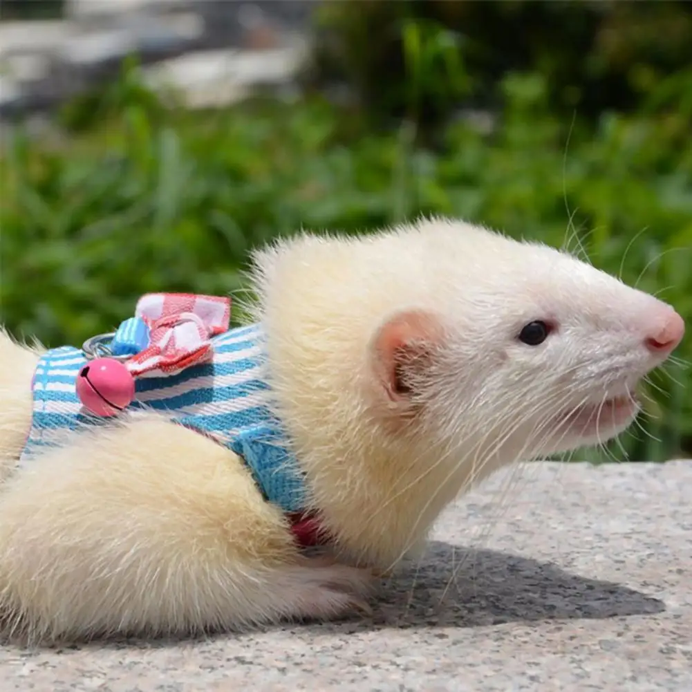 Pet Chest Strap Striped Hamster Rabbit Bow-knot Harness Vest Leash Traction Rope Ferrets Rats Chest Strap Small Pet Leashes