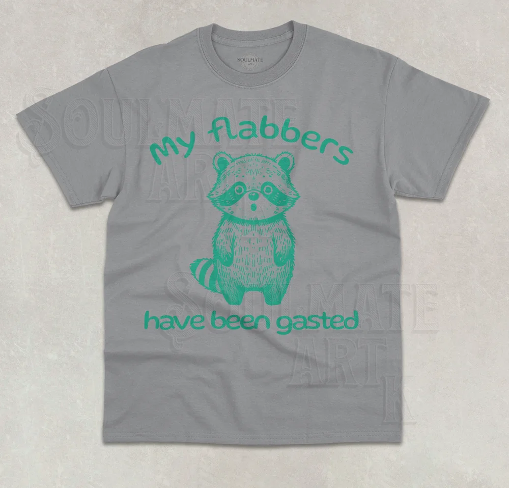 Camiseta My Flabbers Have Been Gasted, divertida camiseta gráfica unisex con mapache Meme