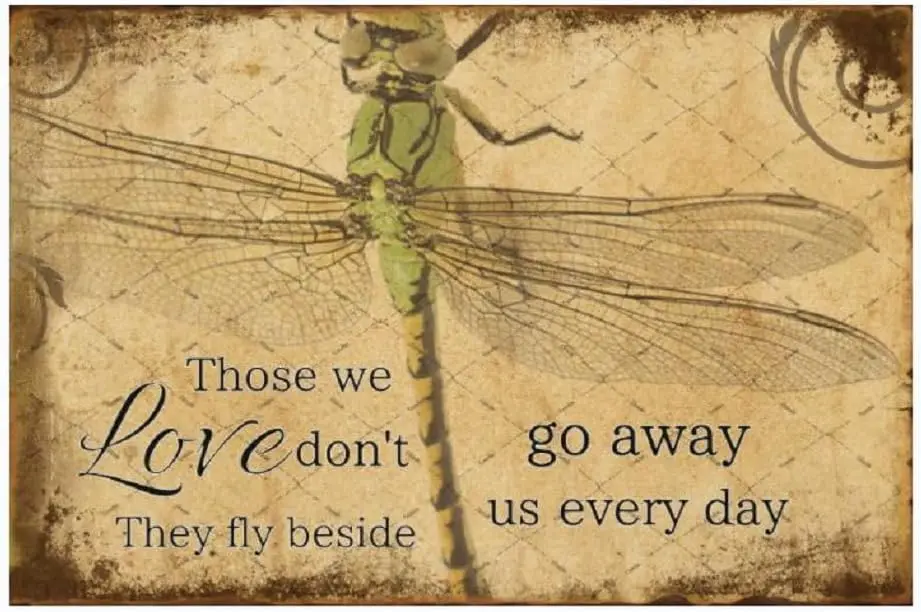 Cusde Dragonfly Metal Tin Sign Those We Love Don’t Go Away They Fly Beside Us Every Day Wall Art Retro Decor Home Decorations Mo