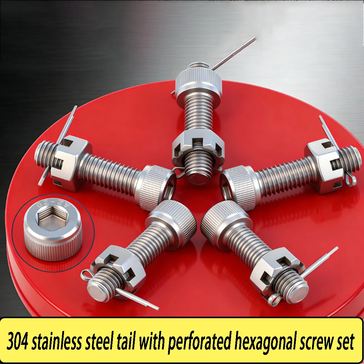 

304 Stainless Steel Hex Socket Screws with Hole - Slotted Nut & Perforated Bolt/Rod Assortment Set M6-M16