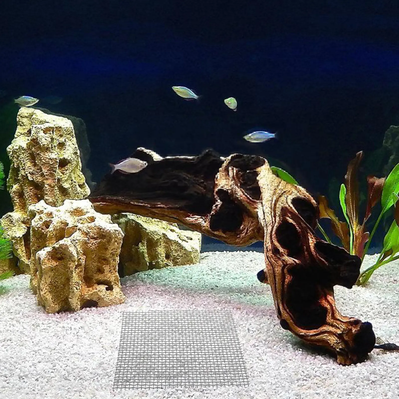 Planted Aquarium Carpet Plant - 6 قطع من شبكة زراعة النباتات