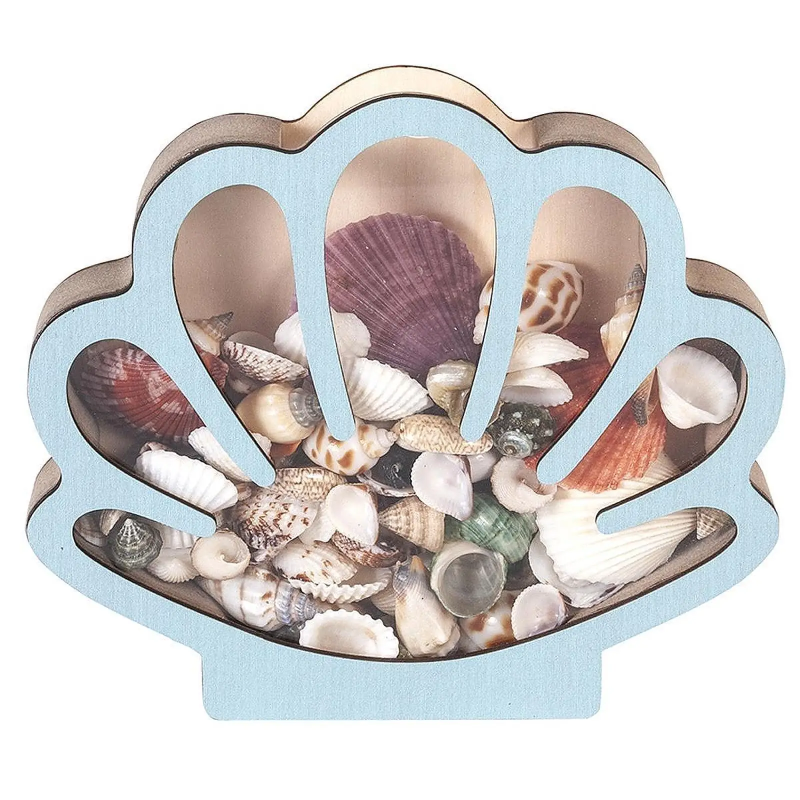 صندوق عرض على شكل قذيفة خشبية للديكور والديكور وأحجار قابلة للجمع #3