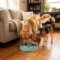 Slow Feeder Dog Bowl - Non-Slip Interactive Maze Bowl for Dogs & Cats, Prevents Bloat & Choking, Healthy Eating Design 5