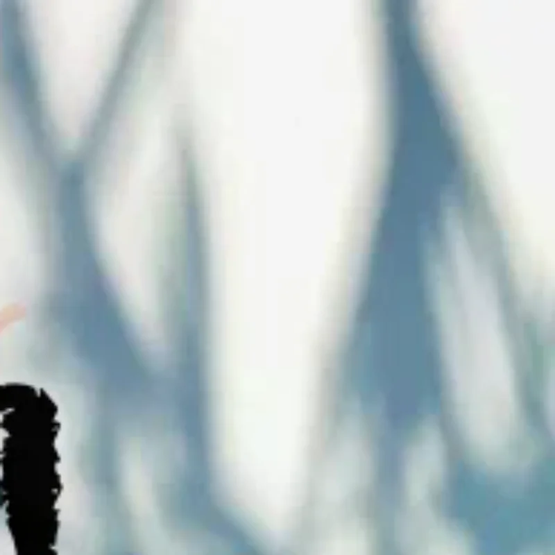 

1Pc Rust-Colored Bird Comfortable Home And Garden Decoration Country Metal Artwork Backyard Wall Decoration Iron Garden Decorati