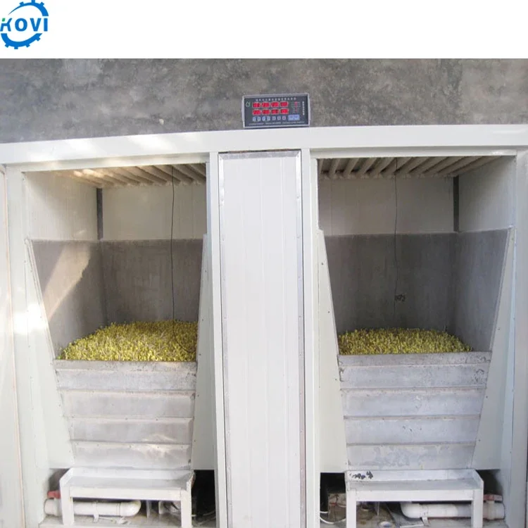 Hydroponic Soy Bean Sprouts Growing System Mung Bean For Sprouting Bean Sprout Machine