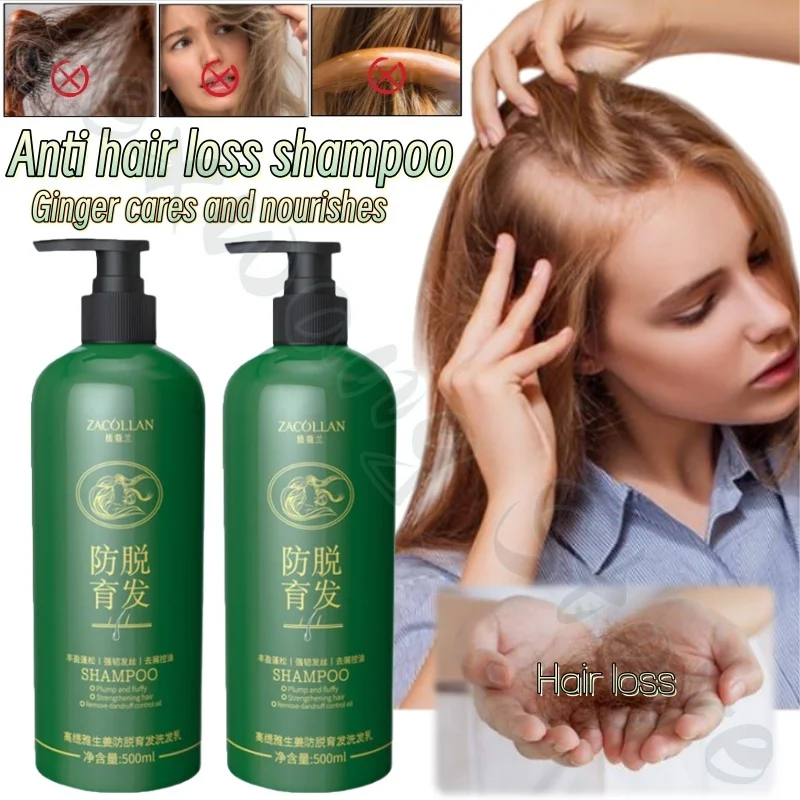 

500ml Astragalus Root and Ginger Double Extract Shampoo, Arborvitae Leaf, Refreshing, Fluffy and Soothing Hair Follicles
