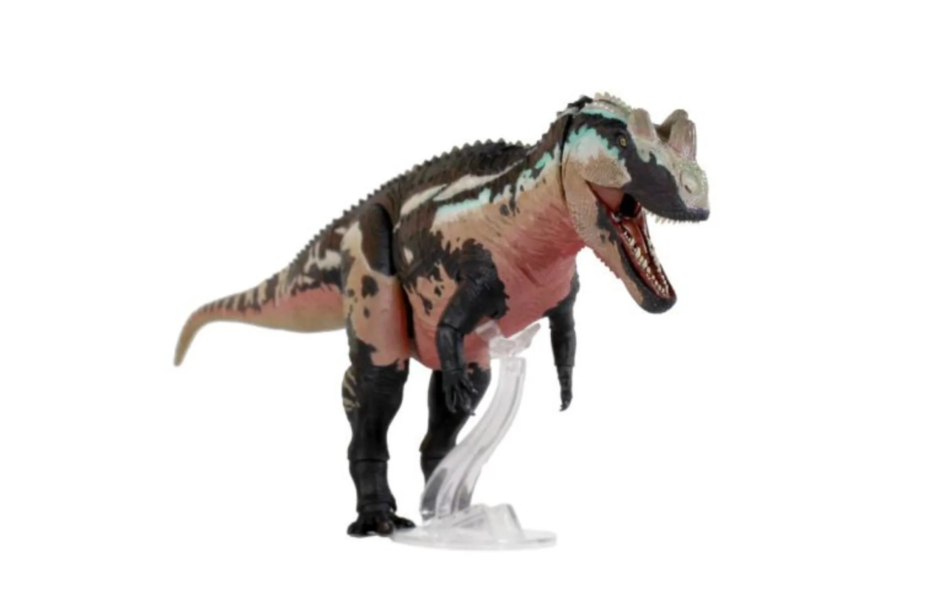 Beasts of the Mesozoic Studio 1/18th Scale Ceratosaurus Dentisulcatus Model Collection Scene Decoration Action Figure Gift view 5