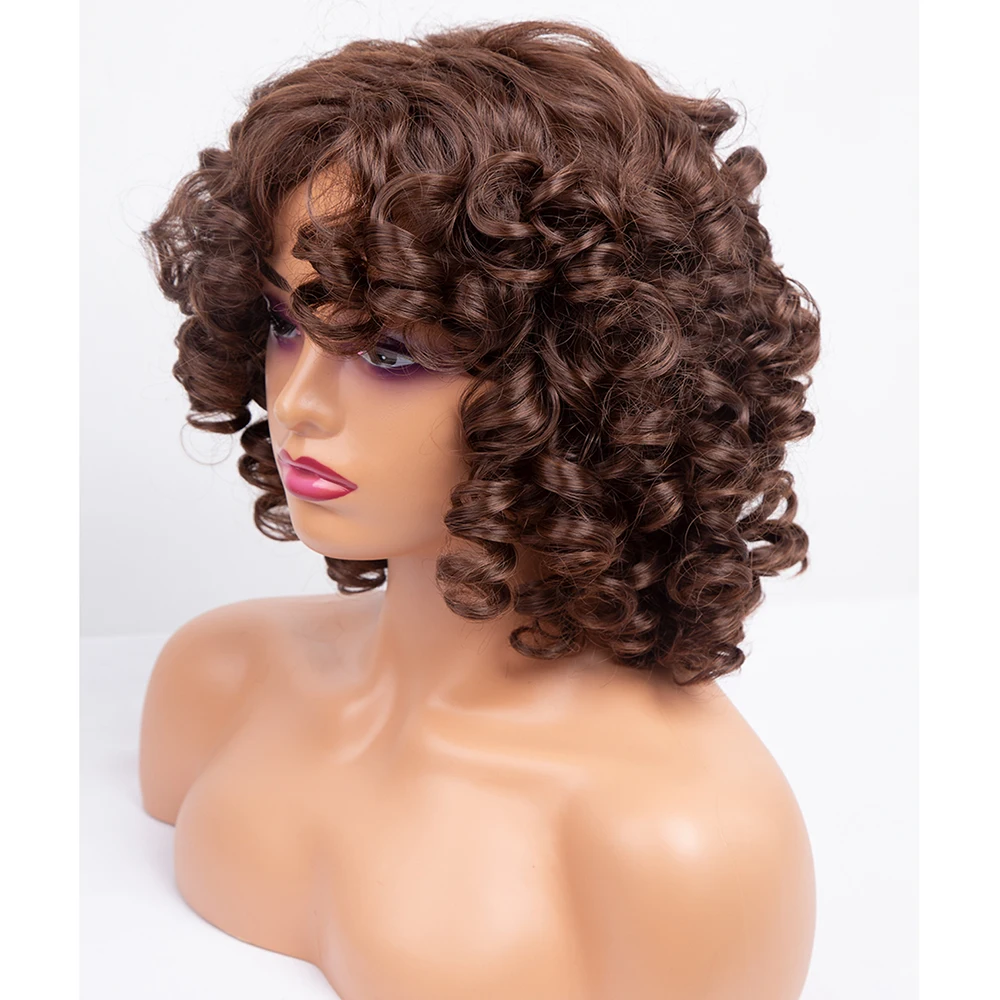 Amir Synthetic Short Wigs Black Afro Curly Wig For Women Natural Black Hair wig Heat Resistant Bangs wig