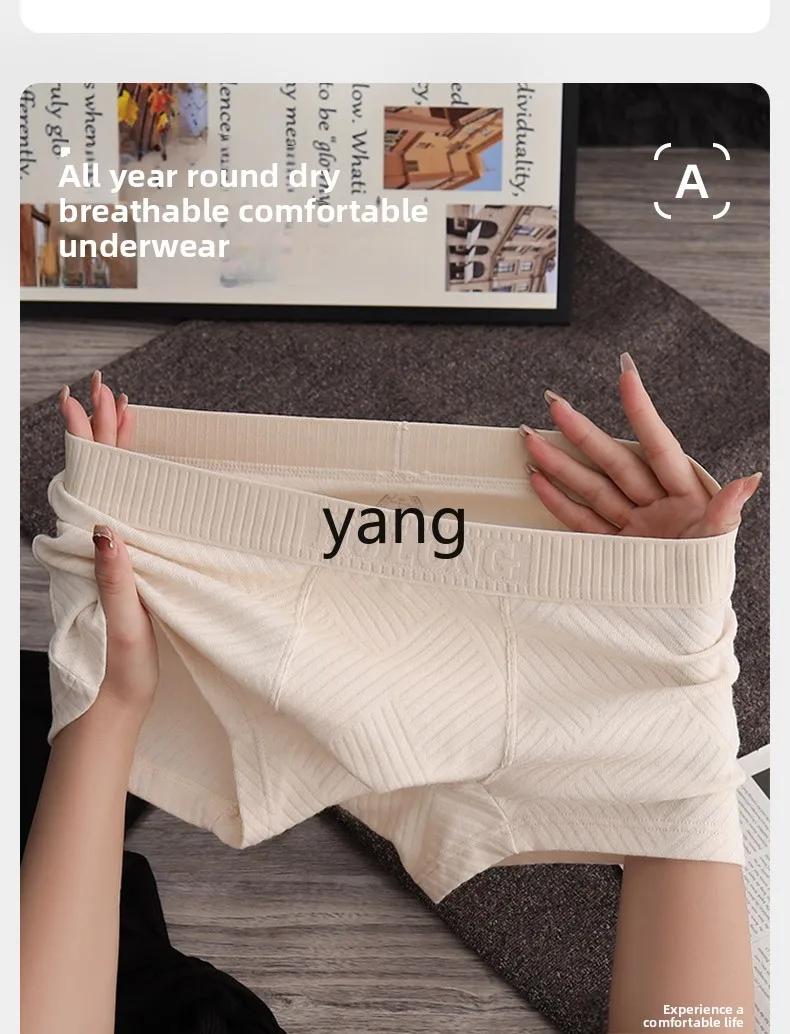 LMM boys pure cotton sports shorts men's trend cotton breathable boxers