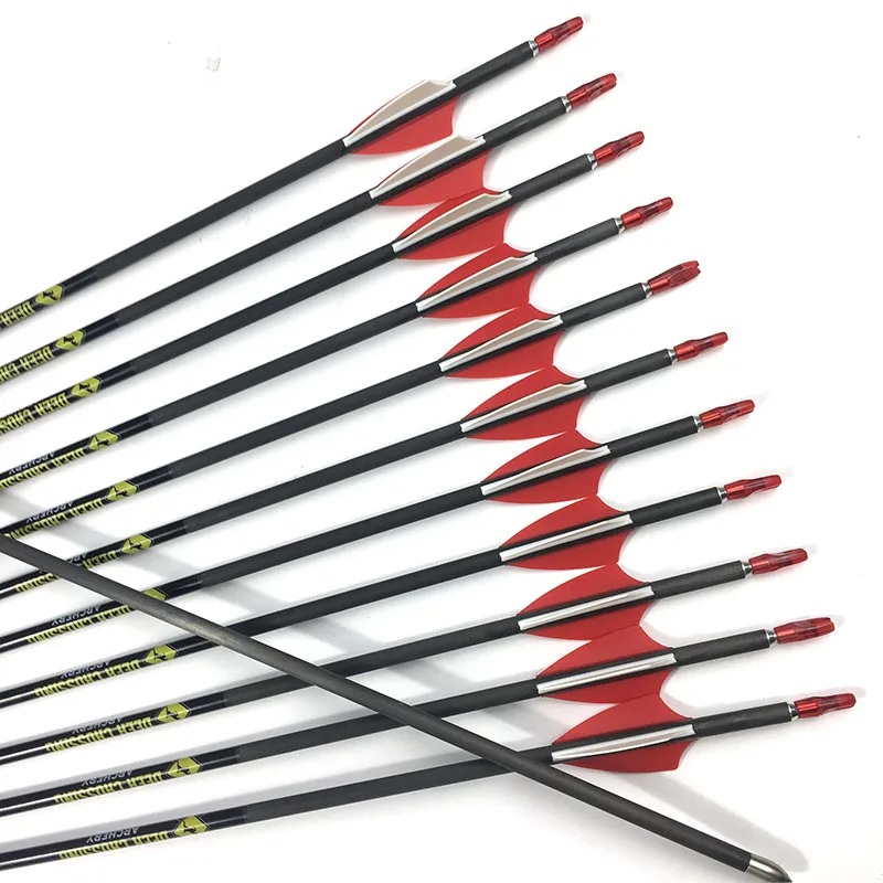 

Archery 100% Carbon Arrows, ID4.2mm Spine500, 600, 700, 800, 900 Pin, Nock, 80GR Tips, Recurve Bow, Longbow Hunting, 12Pcs