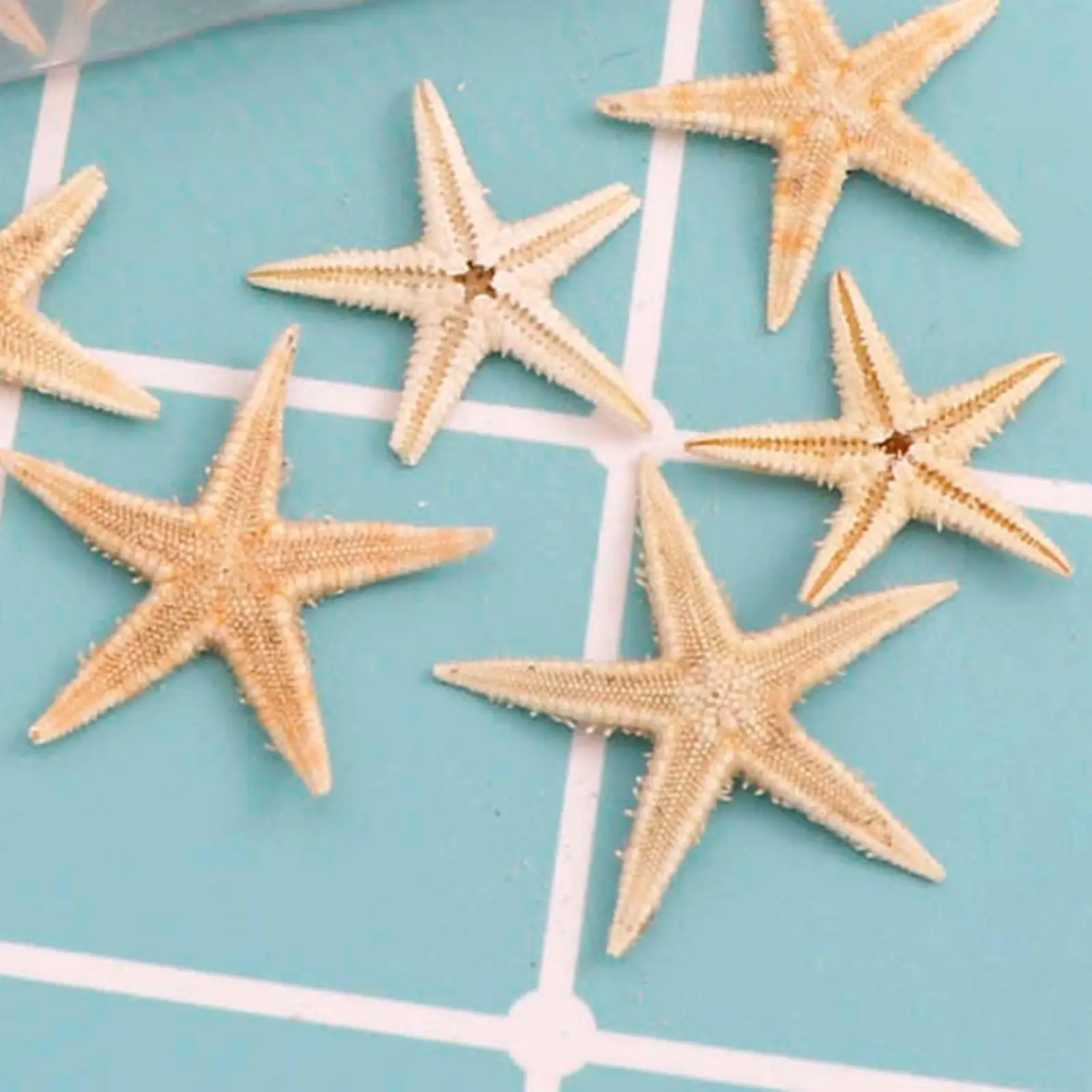 20/50/100pcs Starfish 1 Box Natural Starfish Seashell Beach Craft DIY Beach Wedding Decoration Crafts Home Decor