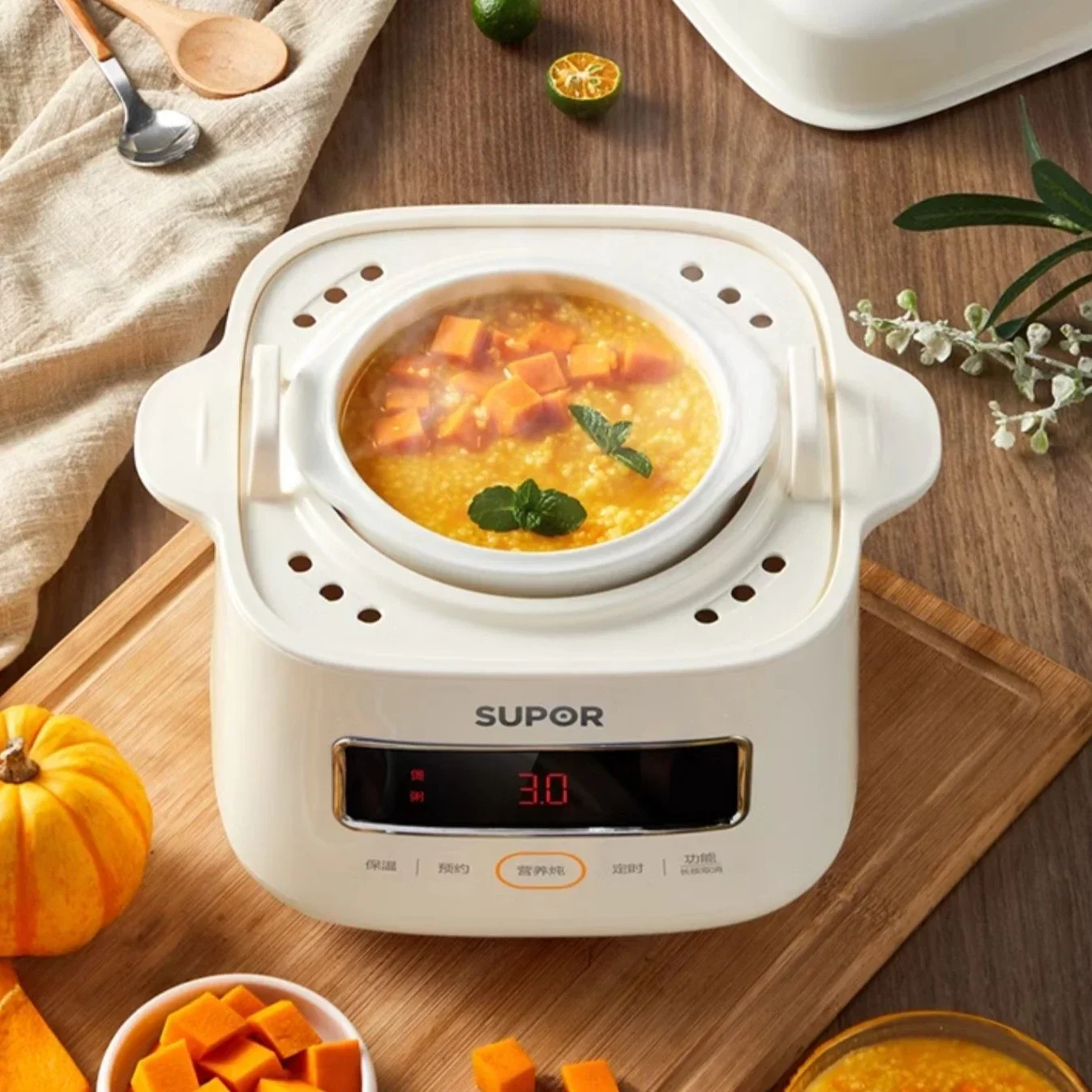 Household stew pot. For bird's nest, baby food porridge, and bb soup. Small ceramic. Electric stew pot and steam all in one.