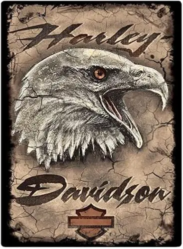 q1,HARLEY DAVIDSON EAGLE TIN SIGN — СКРЕМОВОЧНЫЙ КУЛК СТУРГИС ТИБЕЛЫЙ МОТОЦИКЛ-Алюминий
