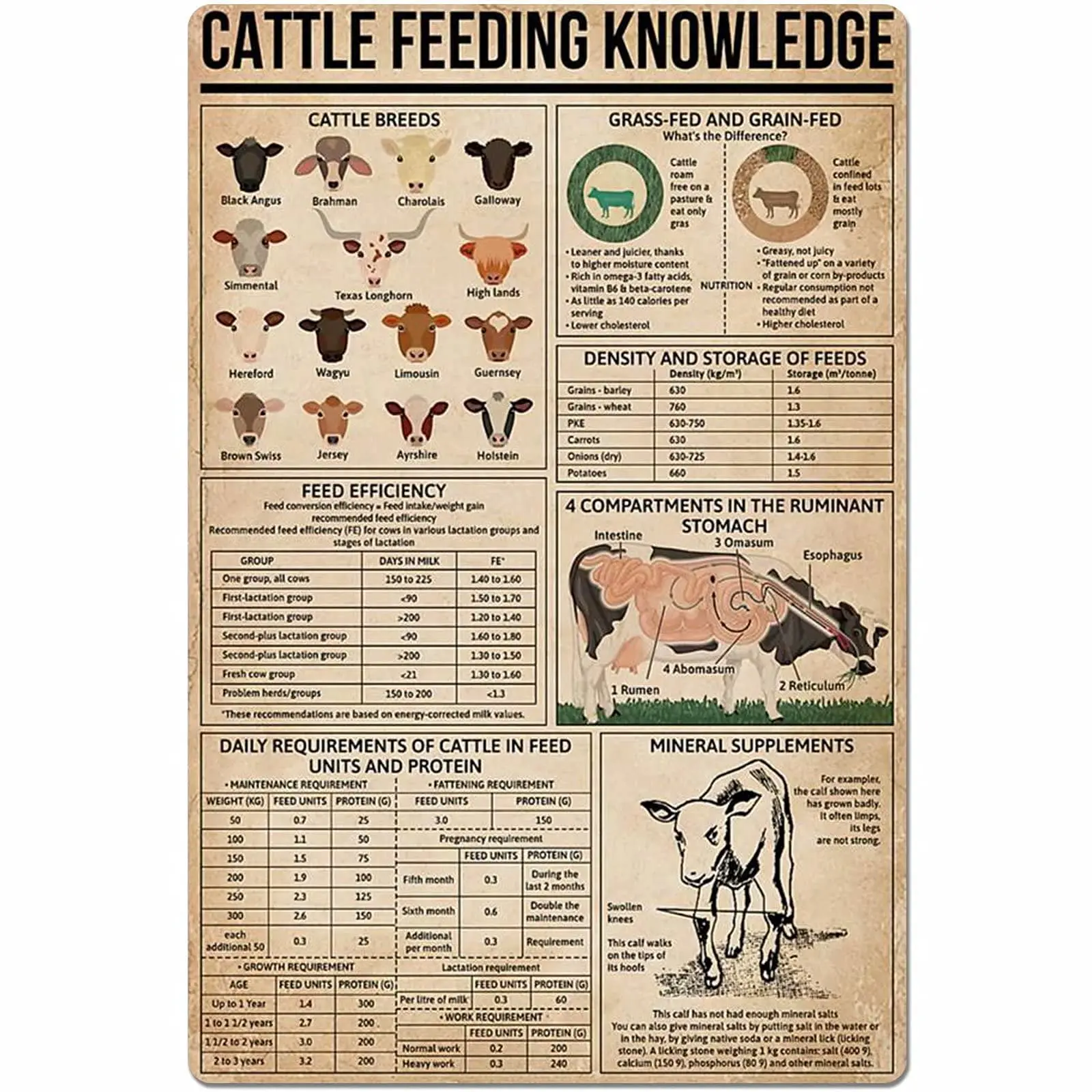 

Cattle Feeding Knowledge Vintage Poster Metal Tin Signs Iron Painting Plaque Wall Decor Bar Club Novelty Bathroom Kitchen Toilet