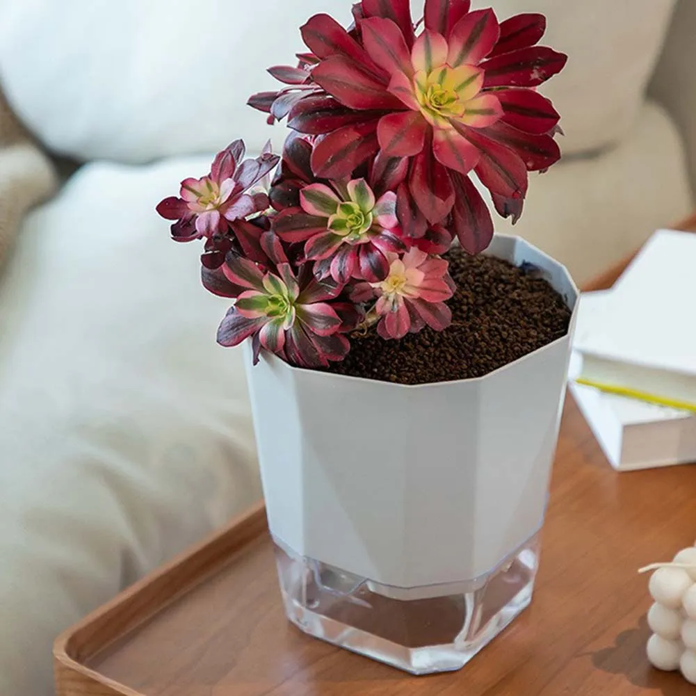 6Pcs Self Watering Plastic Flower Pot Transparent Double Layer Automatic Water-Absorbing Flowerpot Small Plant Pot Home Decor