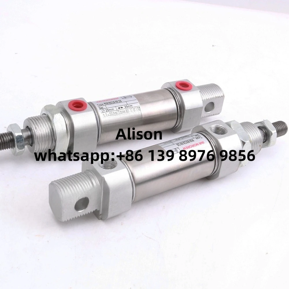 

NORGREN Cylinder RM/8020/M/10 RM/8020/M25 RM/8020/M40 RM/8020/M50 RM/8020/M80 RM/8020/M100 RM/8020/M125 RM/8020/M160 RM/8020/M20