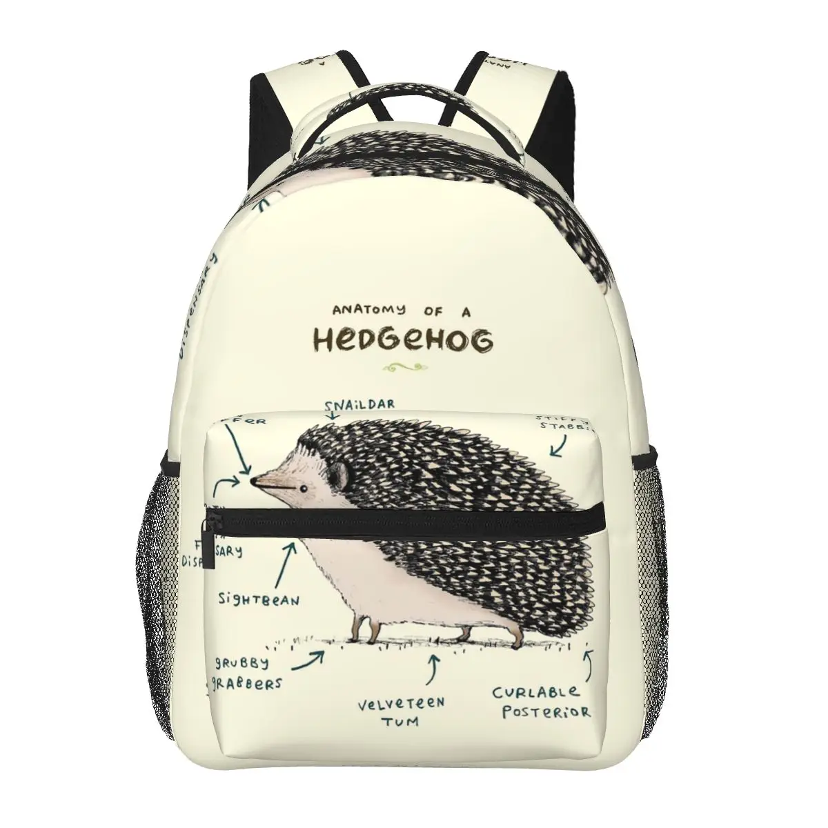 

Anatomy Of A Hedgehog Backpacks Boys Girls Bookbag Children School Bags Cartoon Kids Rucksack Shoulder Bag Large Capacity