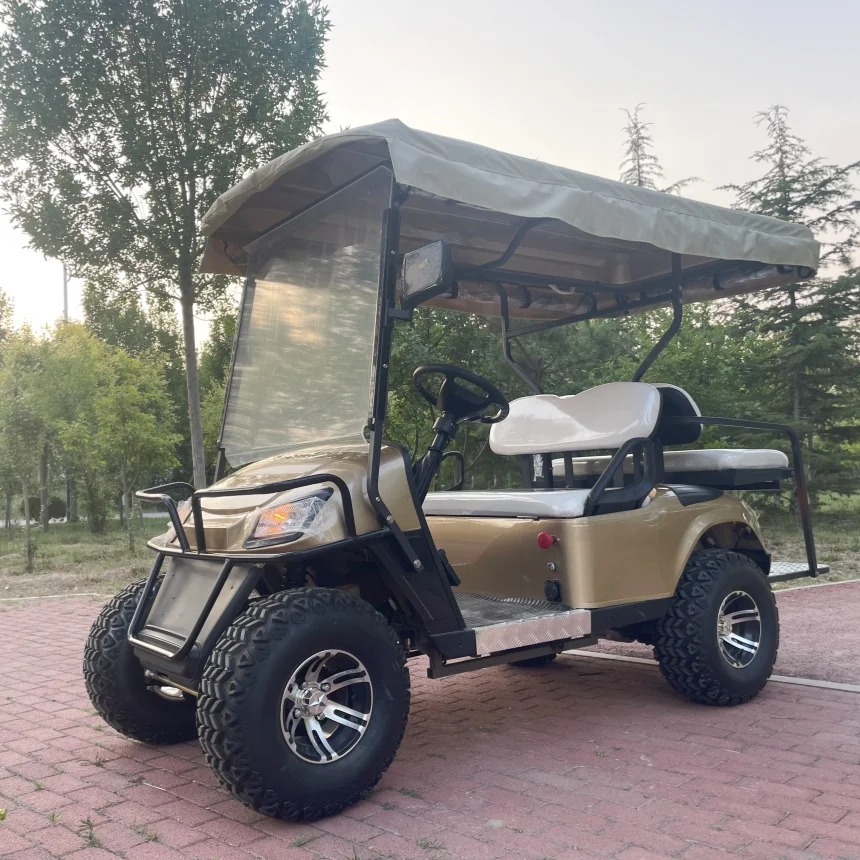 Voiturette de golf électrique à batterie au lithium, voiture à quatre roues, longue endurance, 2 sièges, 4 sièges, 2 sièges, 6 sièges, Street Legal New Energy, 72V, 2024 Nouveau