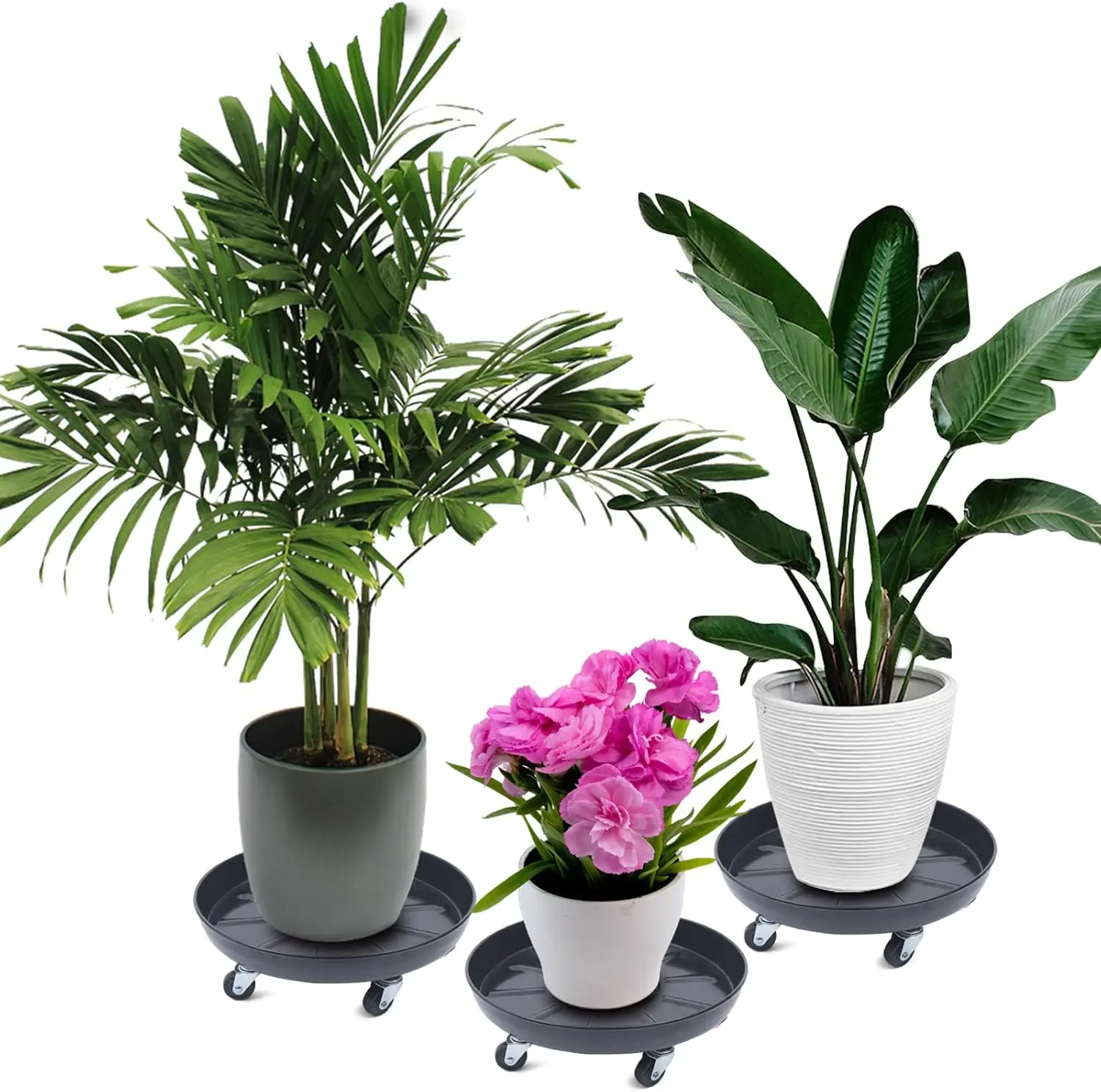 Plant Caddy With Wh…