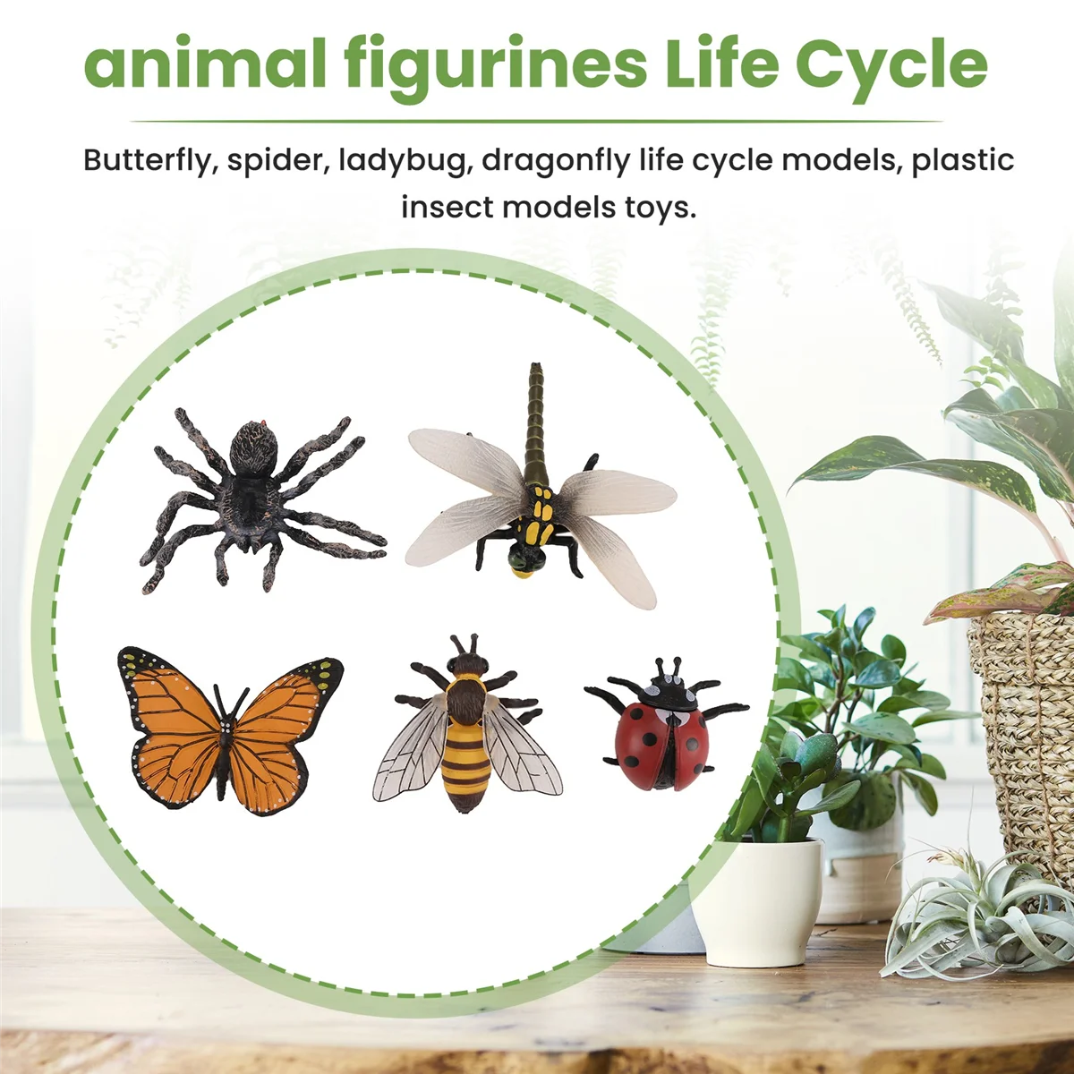 HLES Life Cycle Figurines of Butterfly Spider Bee Ladybug Dragonfly, Plastic Insect Bug Figures Toy, School Project for Kids