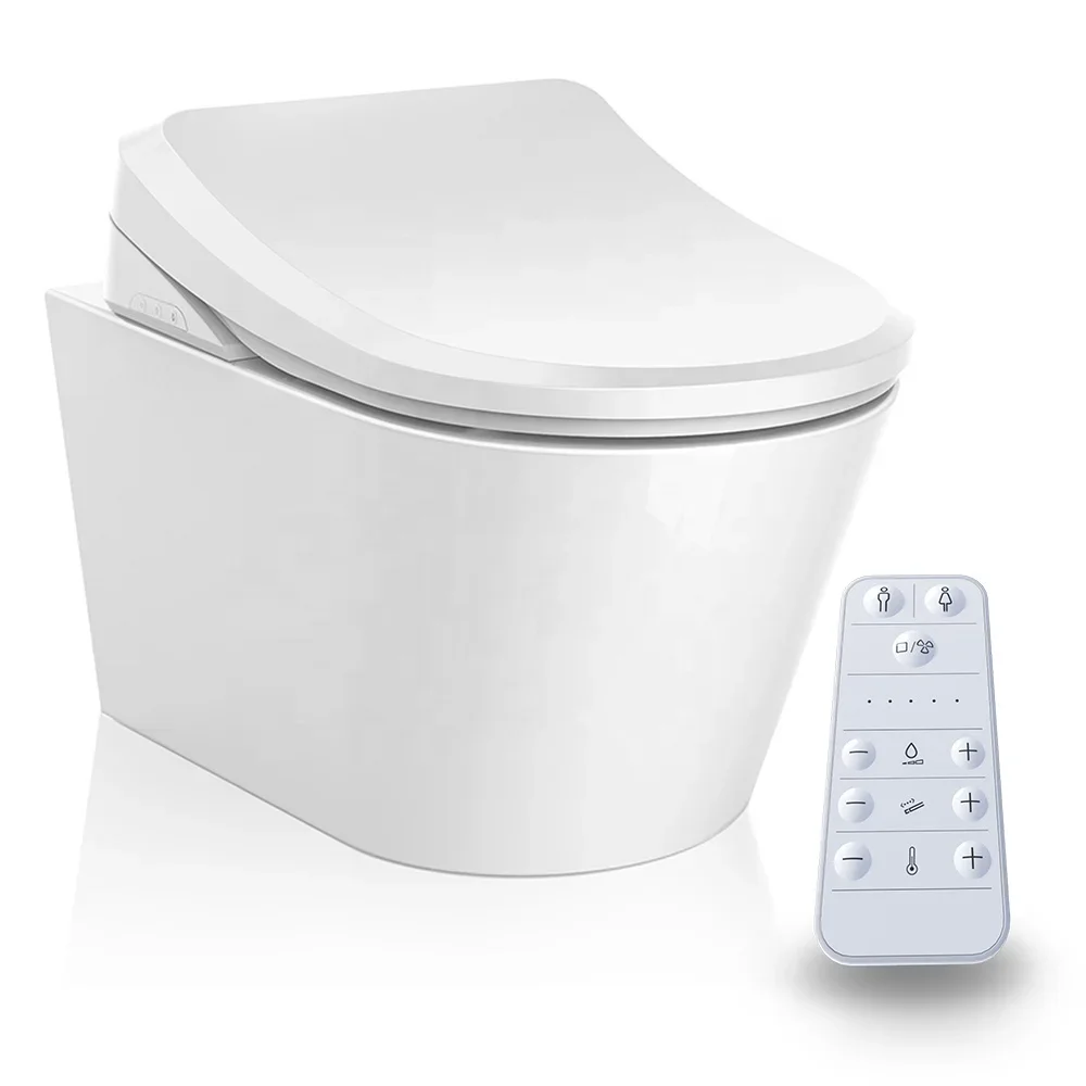 Economical intelligent toilet seat WC shower bidet with remote control