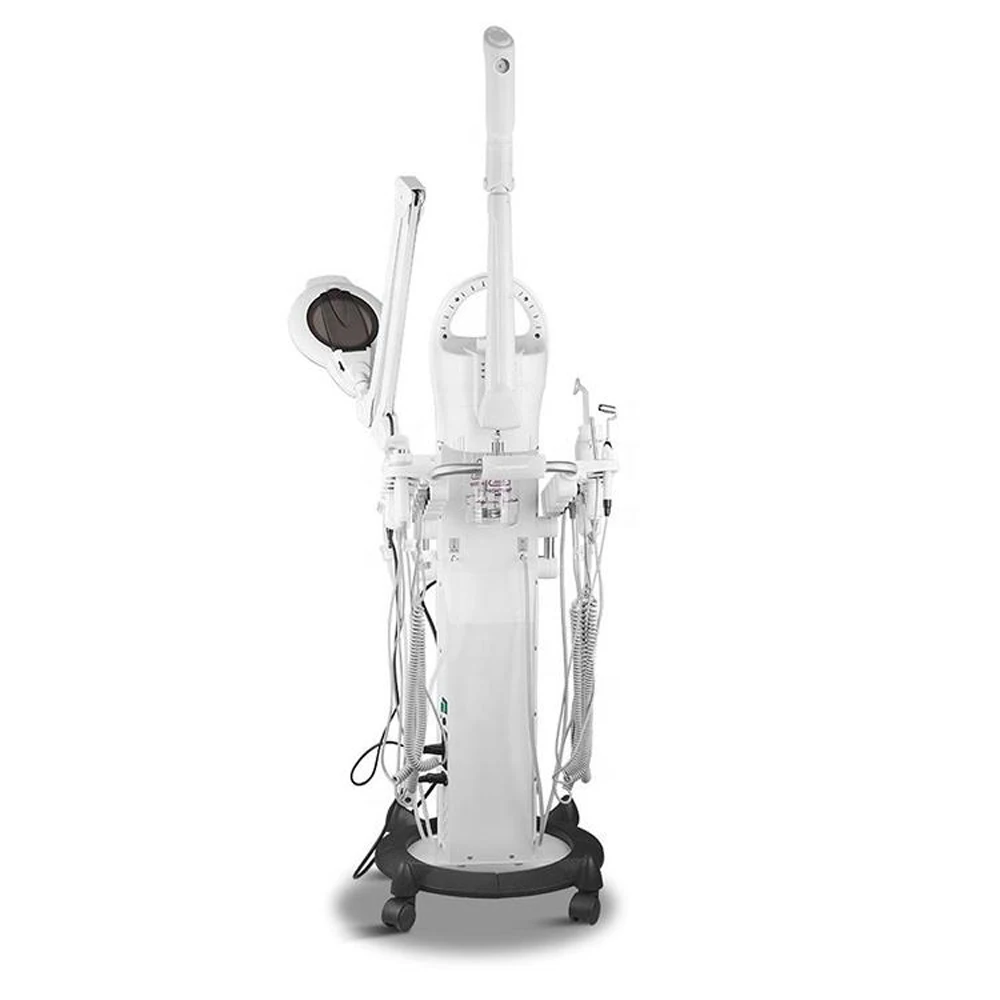 9 In 1 Multi-Functional Beauty Salon Face Spa Machine Facial Steamer Machine With Magnifying Lamp