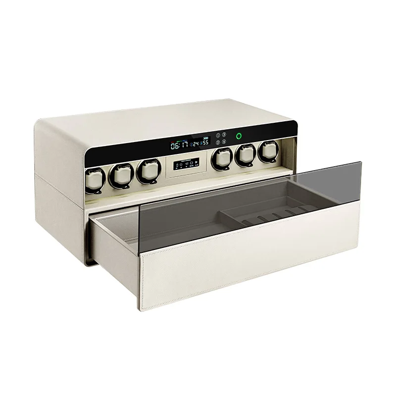 

Home Hotel Security 6 Slots Automatic Watch Winder Luxury Watch Safe Box with Fingerprint Locking