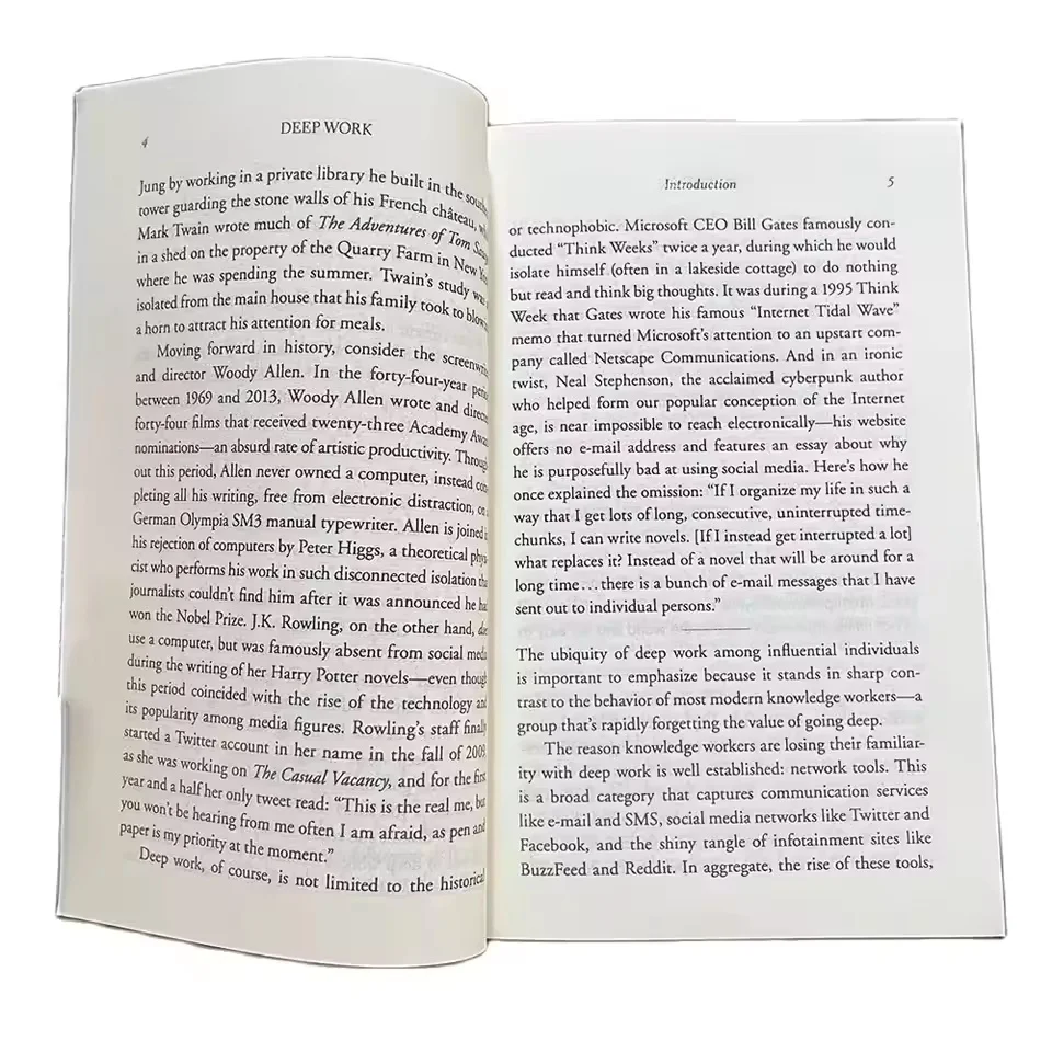 الكتاب الإنجليزي "قانون نيوبورت: قاعدة التركيز على النجاح في عالم مشغول" هو كتاب القيادة والدافع. ليفور