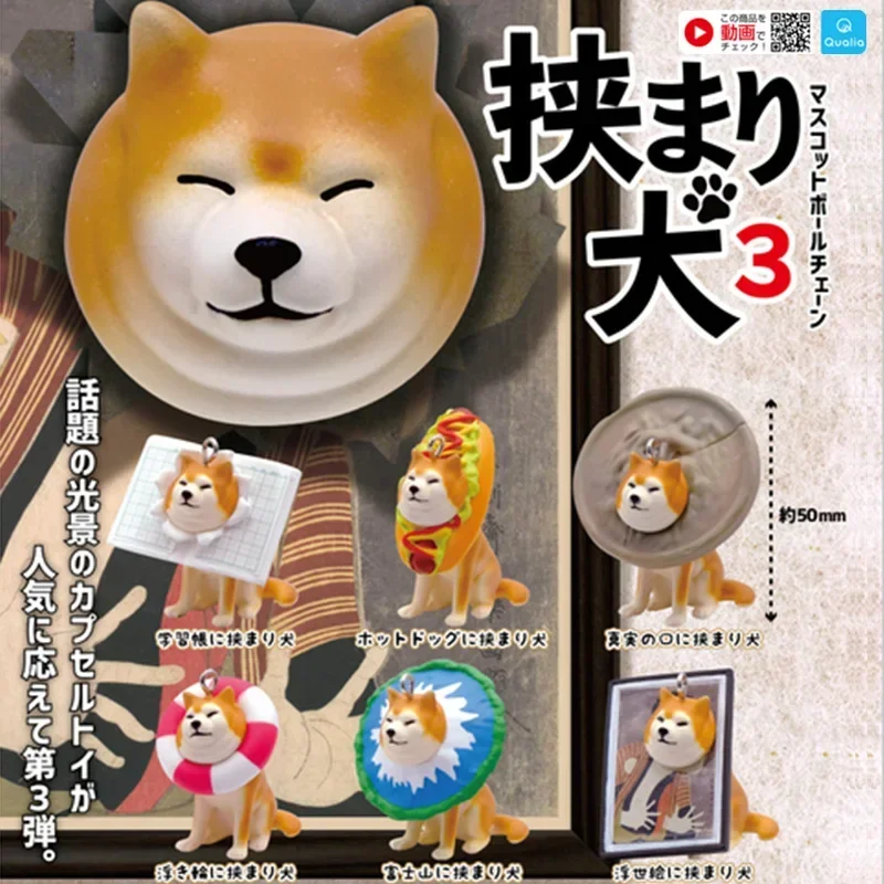 QUALIA Original Gashapon รูปแคปซูลของเล่นพวงกุญแจตัด Shiba Inu สุนัขน่ารักสัตว์ Kawaii Miniatures ของขวัญสร้างสรรค์