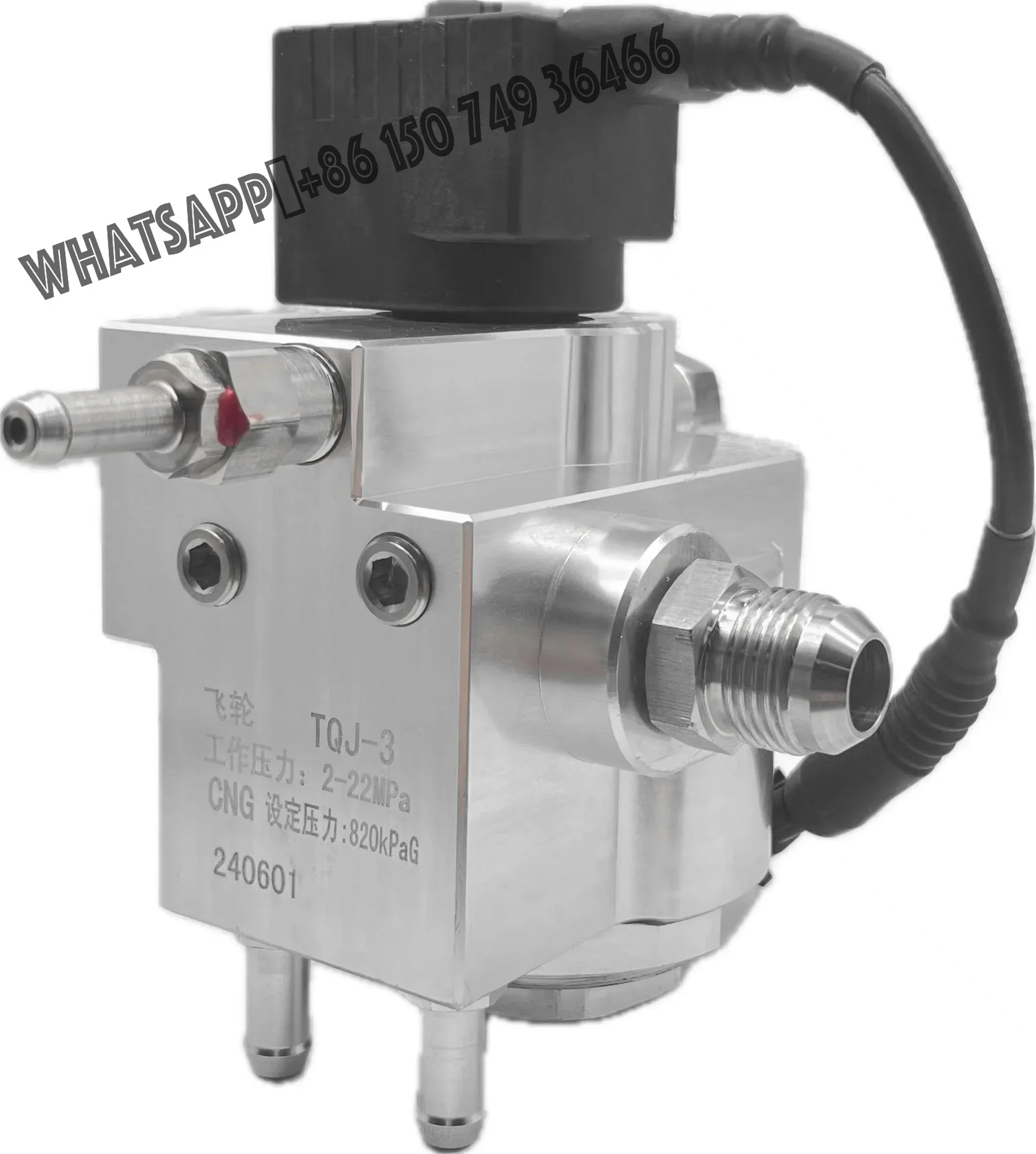 CNG Two-Stage Pressure Reducer for Vehicle Engine | Natural Gas Regulator for Automotive Fuel System