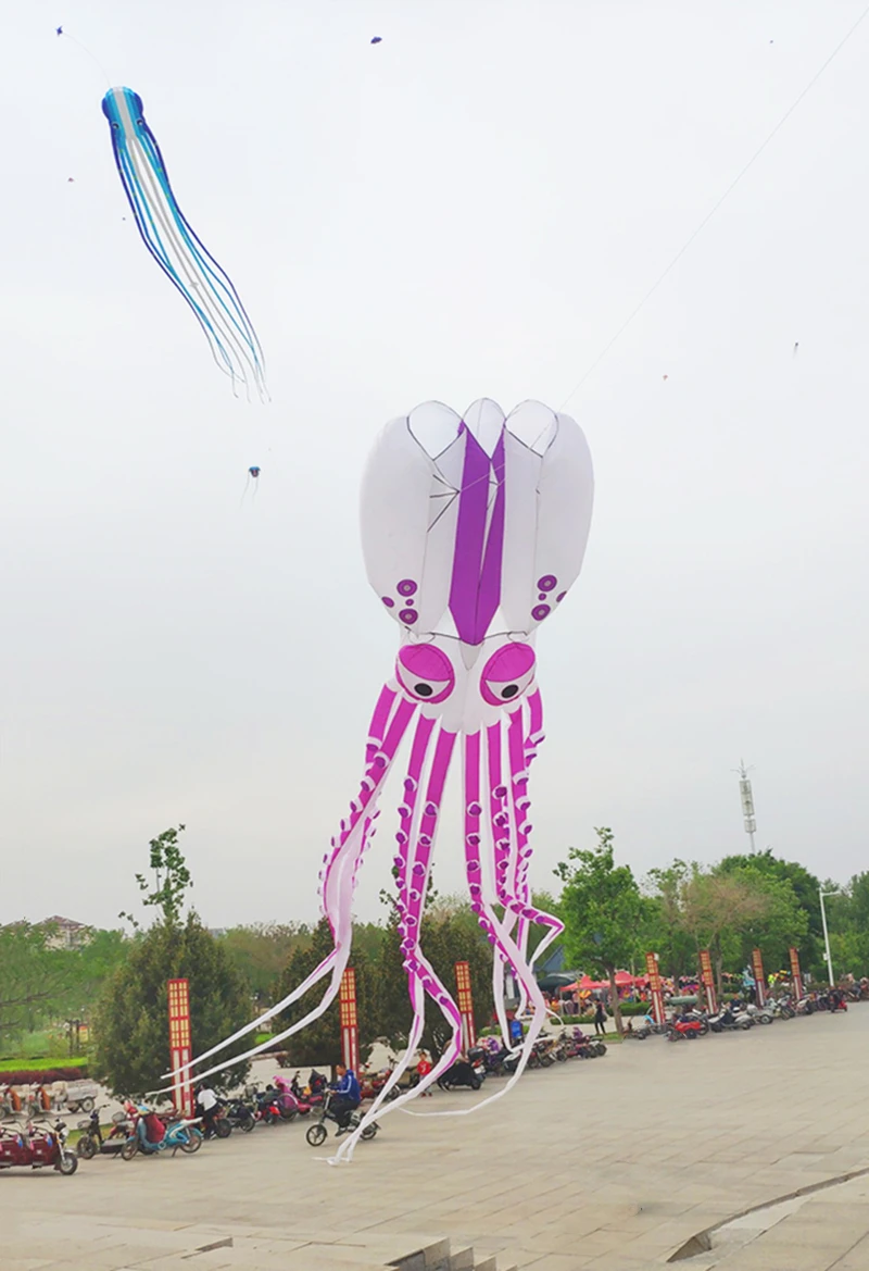 Kites de pulpo de 18m, juguetes inflables, paracaídas, windsurf, pipas voladoras coloridas, pipa de dragón, tabla voladora, pipa profesional para adultos