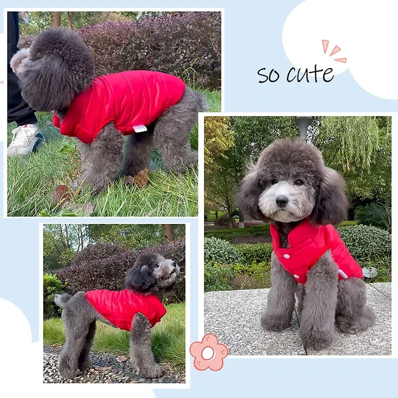 Thumbnail 4 - #10 Latest Puppy Jumpers Offers