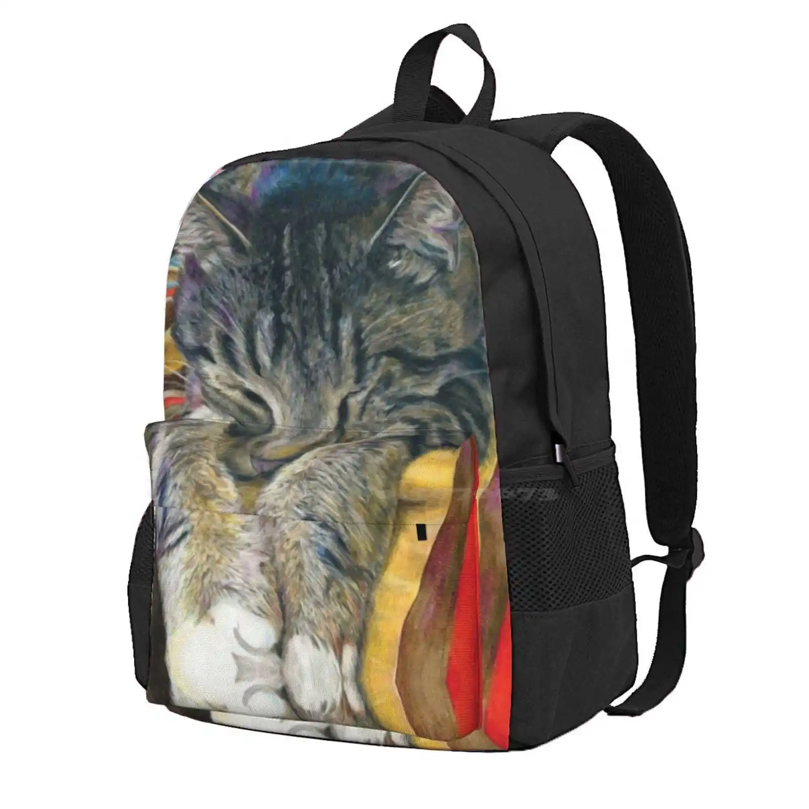 Sleeping Tabby Cat On Colorful Stripes Hot Sale Schoolbag Backpack Fashion Bags Tabby Cat Sleeping Cat Napping Cat Crazy Cat